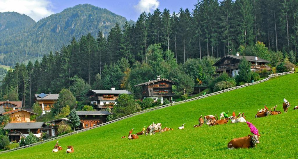 Ferienhäuser Reither Almen Reith im Alpbachtal Zimmer foto